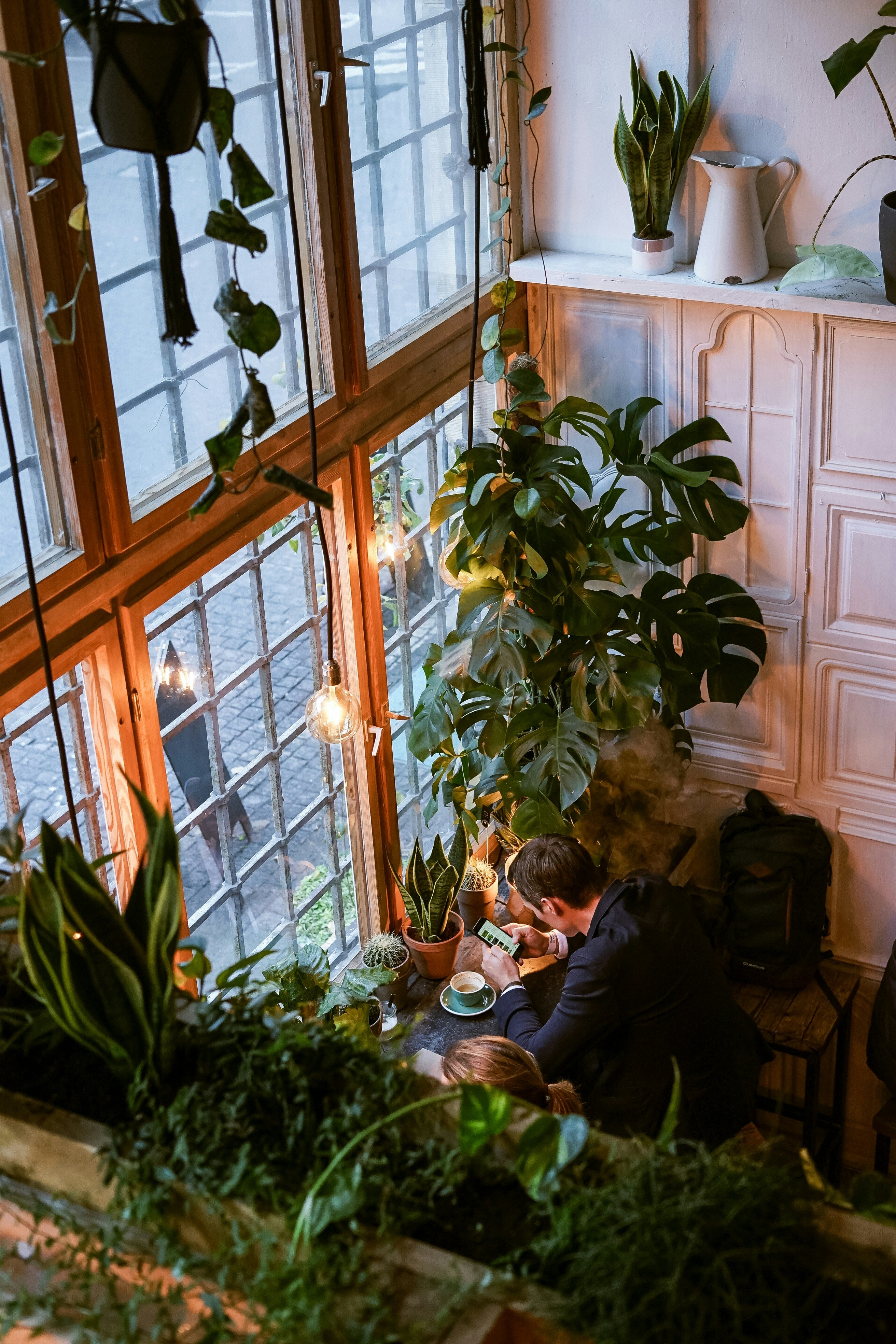 Man focused on his smartphone in a cozy, plant-filled workspace, accompanied by bold text promoting a free 30-minute consultation to unlock brand potential.