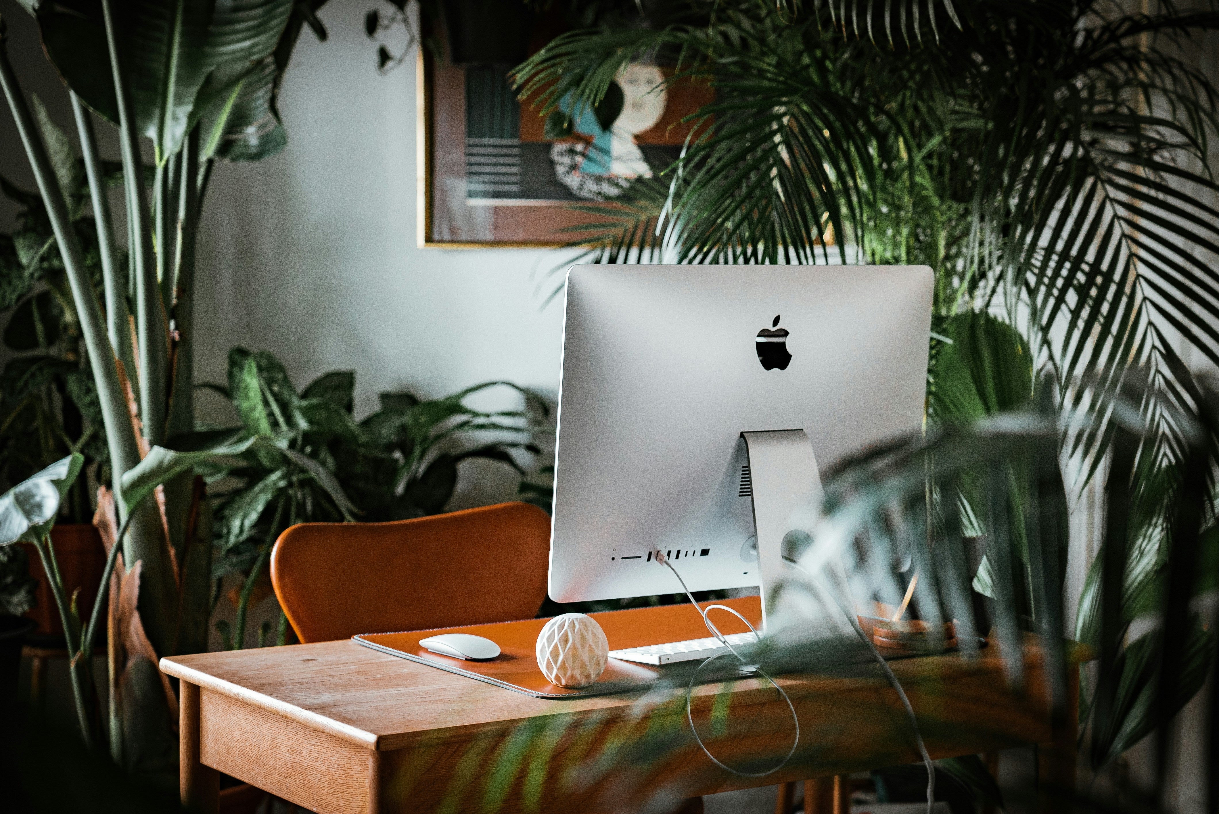 Modern workspace featuring an Apple desktop in a lush, plant-filled environment, symbolizing creativity and innovation in digital marketing.